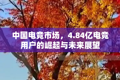 84亿电竞用户的崛起与未来展望图片
