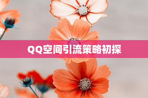 QQ空间引流策略初探图片