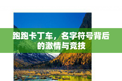 名字符号背后的激情与竞技图片