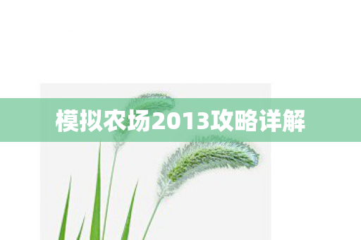 模拟农场2013攻略详解图片