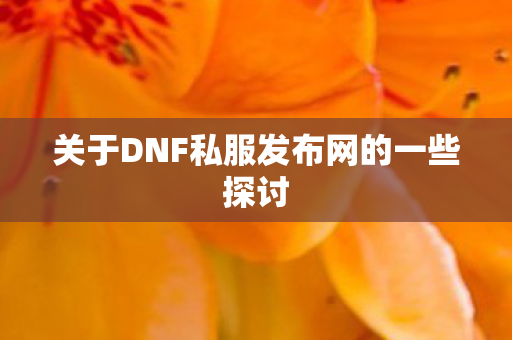 关于DNF私服发布网的一些探讨图片