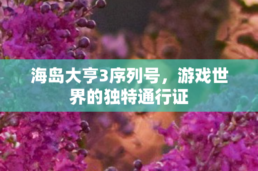 游戏世界的独特通行证图片