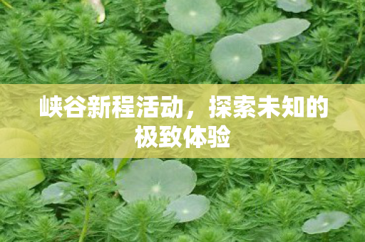 探索未知的极致体验图片