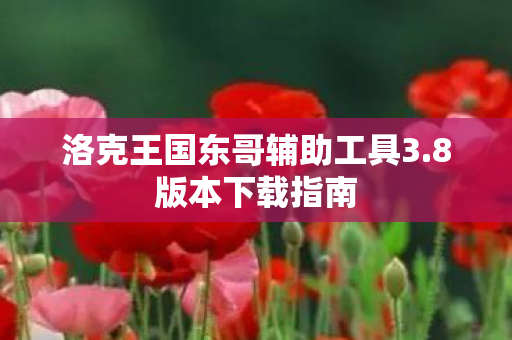 洛克王国东哥辅助工具3图片