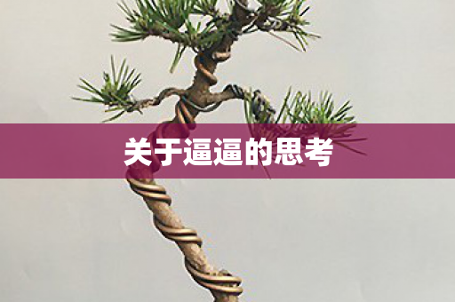 关于逼逼的思考图片