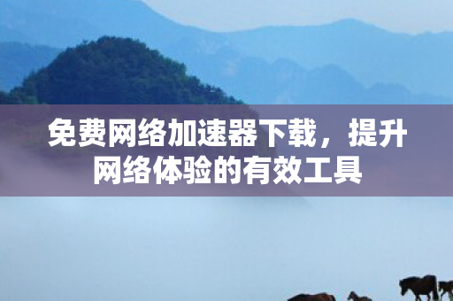 提升网络体验的有效工具图片