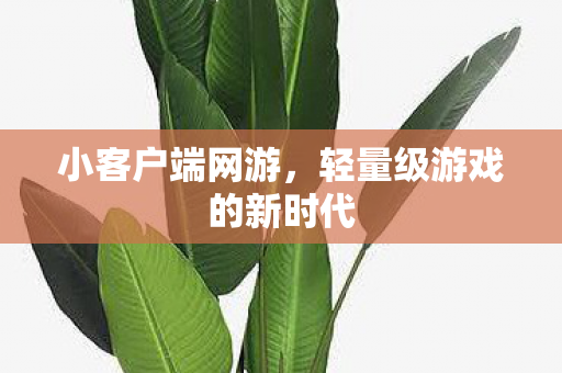 轻量级游戏的新时代图片