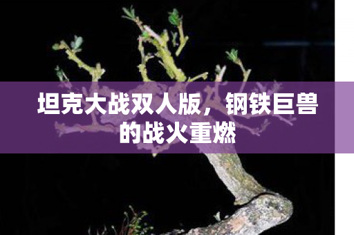 钢铁巨兽的战火重燃图片