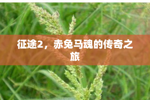 赤兔马魂的传奇之旅图片