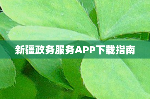 新疆政务服务APP下载指南图片