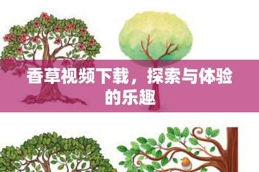 探索与体验的乐趣图片