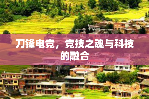 竞技之魂与科技的融合图片