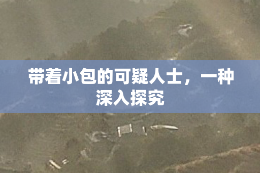 带着小包的可疑人士图片