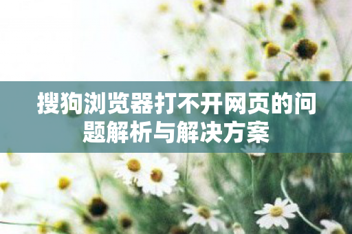 搜狗浏览器打不开网页的问题解析与解决方案图片
