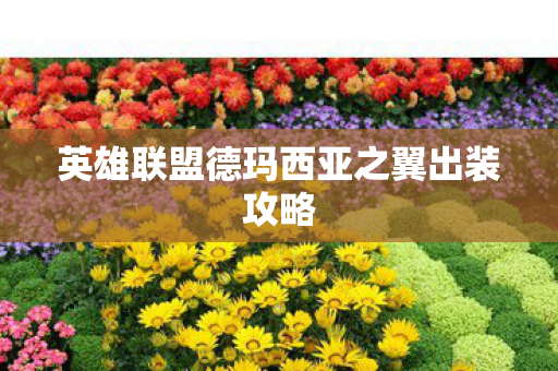 英雄联盟德玛西亚之翼出装攻略图片