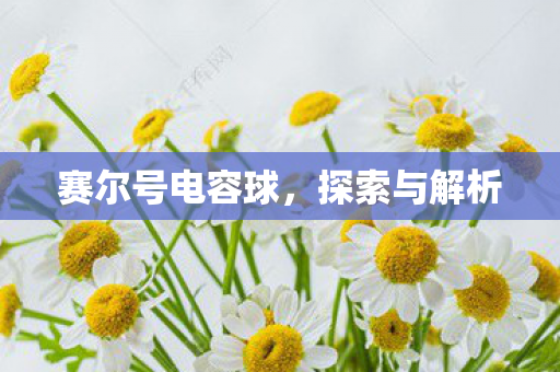 赛尔号电容球图片