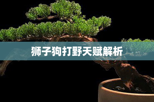 狮子狗打野天赋解析 狮子狗打野天赋解析
