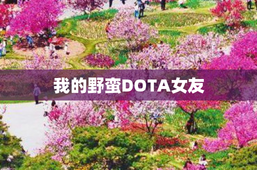 我的野蛮DOTA女友图片