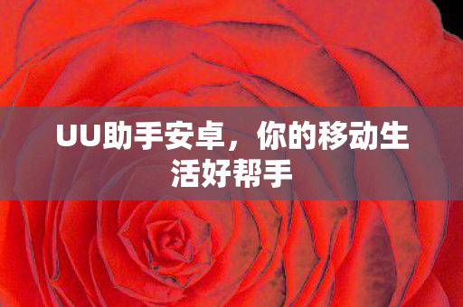 你的移动生活好帮手图片