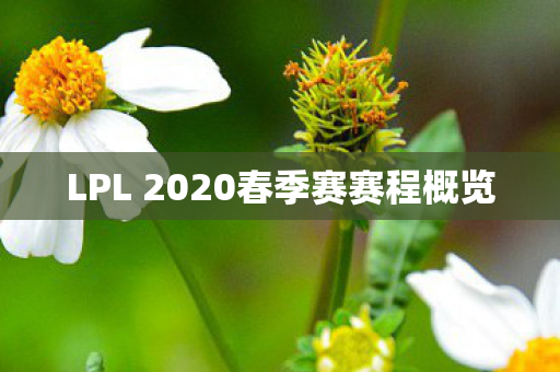 LPL 2020春季赛赛程概览图片