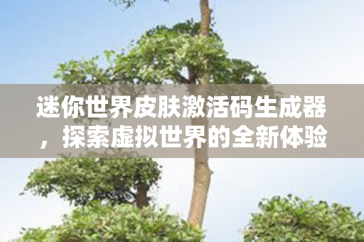 迷你世界皮肤激活码生成器图片
