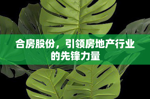 合房股份,引领房地产行业的先锋力量 合房股份,引领房地产行业的先锋力量