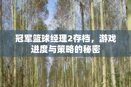 游戏进度与策略的秘密图片
