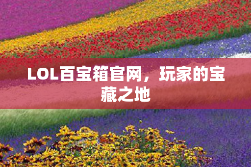 LOL百宝箱官网图片