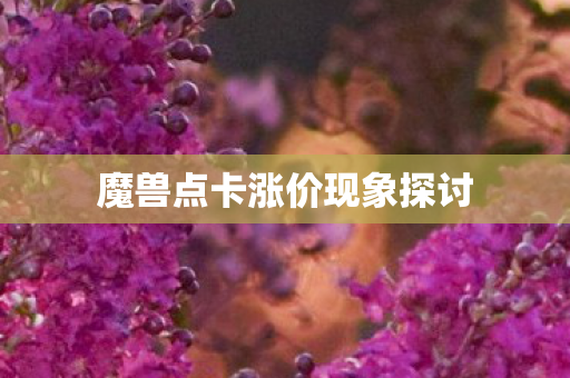 魔兽点卡涨价现象探讨图片