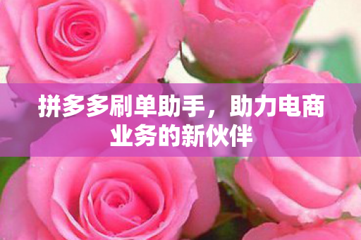 助力电商业务的新伙伴图片