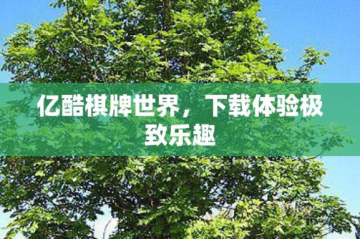 下载体验极致乐趣图片