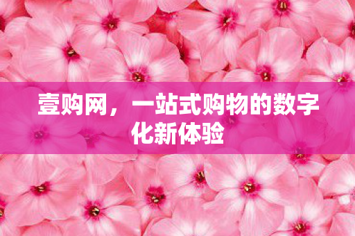 一站式购物的数字化新体验图片
