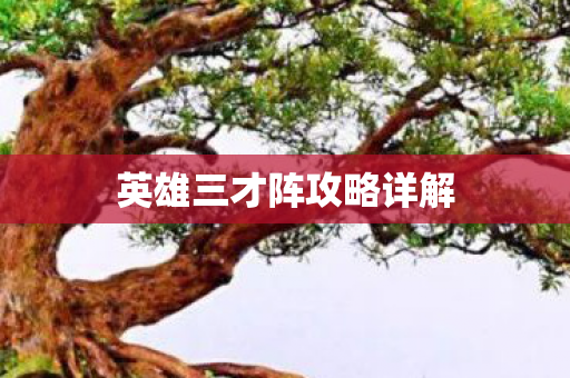 英雄三才阵攻略详解图片