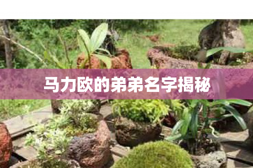 马力欧的弟弟名字揭秘图片