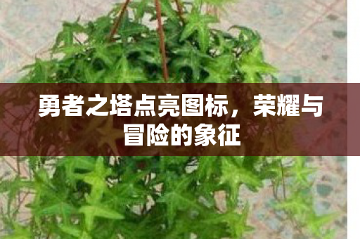 勇者之塔点亮图标图片
