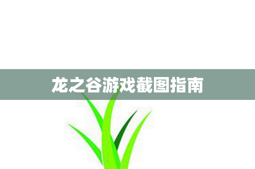 龙之谷游戏截图指南图片