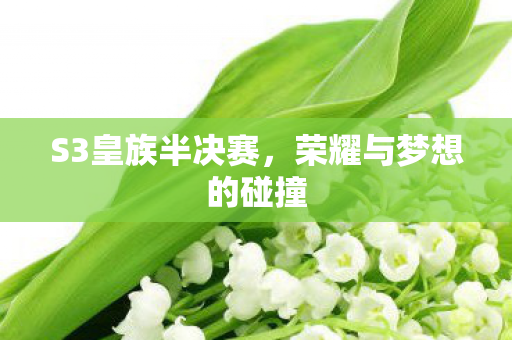 荣耀与梦想的碰撞图片