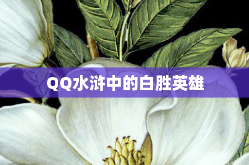 QQ水浒中的白胜英雄图片