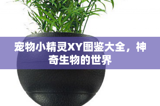 宠物小精灵XY图鉴大全图片