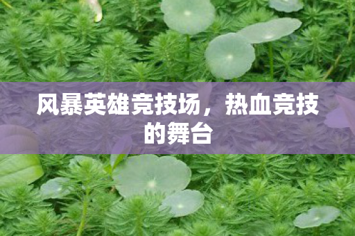 风暴英雄竞技场图片