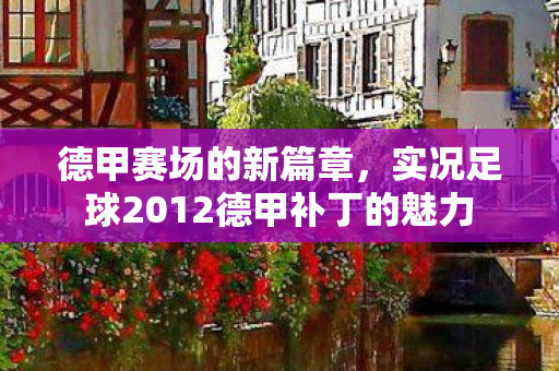 实况足球2012德甲补丁的魅力图片