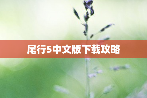尾行5中文版下载攻略图片