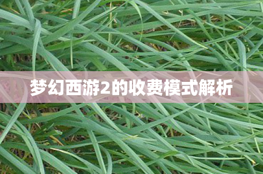 梦幻西游2的收费模式解析图片