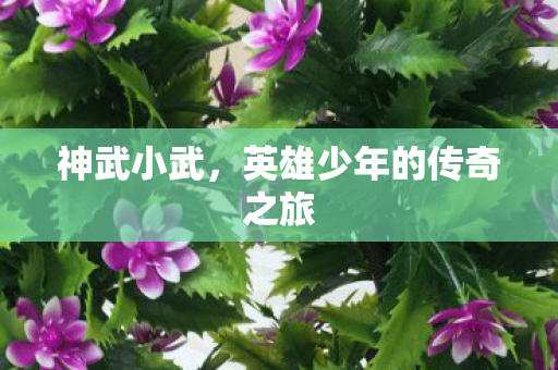 英雄少年的传奇之旅图片