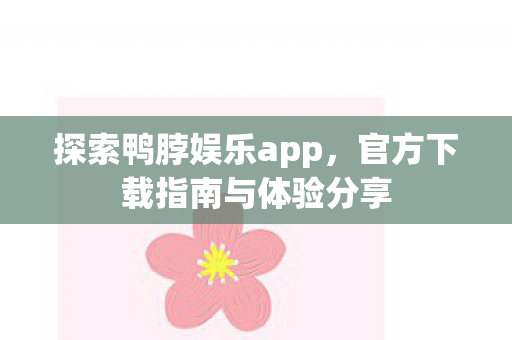 官方下载指南与体验分享图片