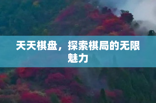 探索棋局的无限魅力图片