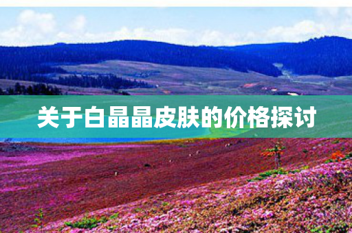 关于白晶晶皮肤的价格探讨图片