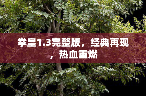 3完整版图片