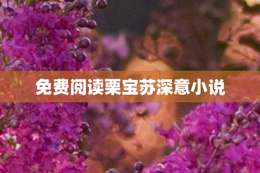免费阅读栗宝苏深意小说图片