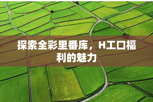H工口福利的魅力图片